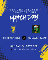 Image result for Silverbridge Harps Gac