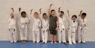 Image result for Windsor Higashi Karate Club