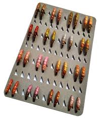 Image result for Barnsley Bullets