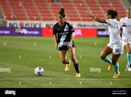 Image result for Gotham Soccer League