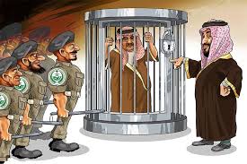 Image result for mohammad cartoons