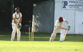 Image result for Bronwydd Cricket Club