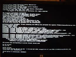Image result for kernel panic snow leopard