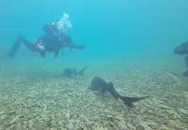 Image result for Leeds Free Divers Octopush Club