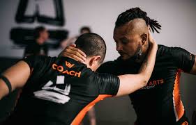 Image result for Derwent Jujitsu Academies