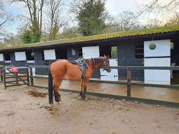 Image result for The Chobham Common Riders Association