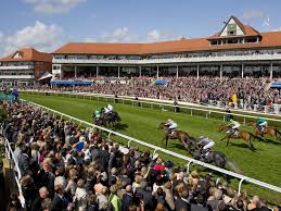 Image result for Chester Road Sports & Social Club