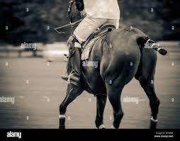 Image result for Kirtlington Park Polo Club