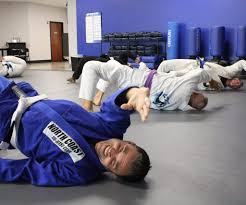 Image result for Norfolk Jikishin Ju Jitsu Club