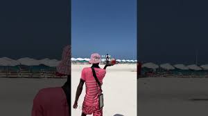 Image result for Harbour Lights Snorkelling Club (HLSC)