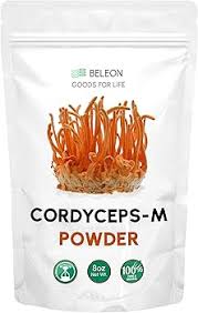 Attēlu rezultāti vaicājumam “Cordyceps polyarthra”