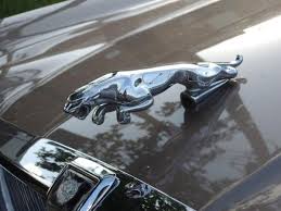 Image result for Regent Gray 1984 Jaguar