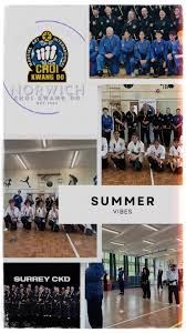 Image result for Surrey Choi Kwang-Do