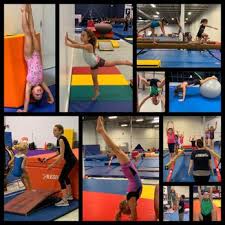 Image result for Vernon Park Gymnastics