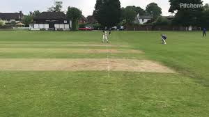 Image result for Horsley & Send Cricket Club