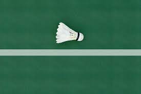 Image result for Acton Badminton Club