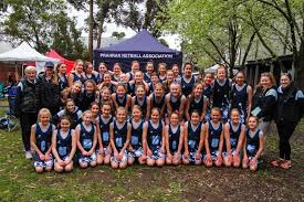 Image result for Ripley Netball Club