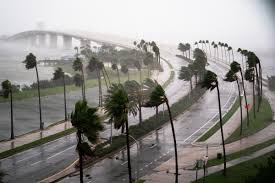 Image result for Hurricanes