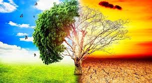 Image result for pemanasan global