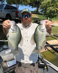 Image result for Pomoxis nigromaculatus