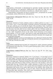 Attēlu rezultāti vaicājumam “Lamproderma ovoideum stalked”