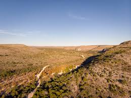 Image result for Dearne Valley Devils