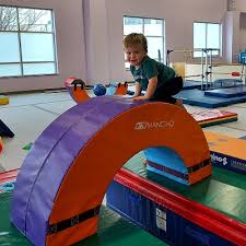 Image result for Little Tricks Gymnastics - Pre-School and Play Gym