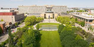 Image result for York University Canoepolo Club