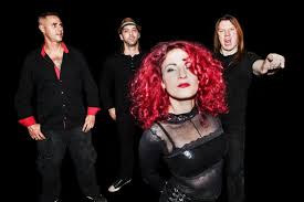 Kuvahaun tulos haulle bonsaikitten