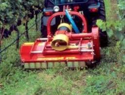 Image result for seppi tehron