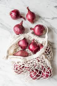 Image result for Zwiebeln