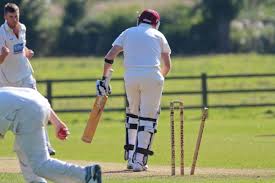 Image result for Pannal Cricket Club