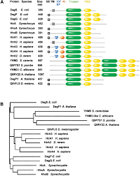 Image result for HTRPC