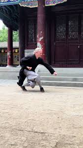 Image result for TRIANGLE CHANGQUAN FLYING DRAGON