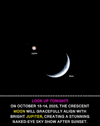 Image result for moon jupiter