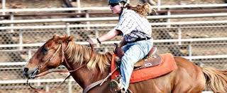 Image result for Lakes Riding Club