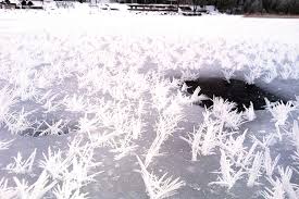 Attēlu rezultāti vaicājumam “Frost Flowers”
