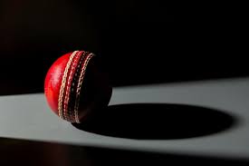 Image result for Ivybridge Cricket Club