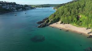 Image result for Salcombe Yacht Club