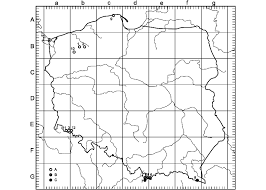 Attēlu rezultāti vaicājumam “Frullania fragilifolia”