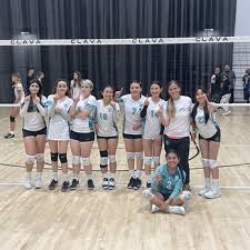 Image result for Oasis Badminton Club