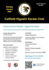 Image result for Twyford Higashi Karate Club