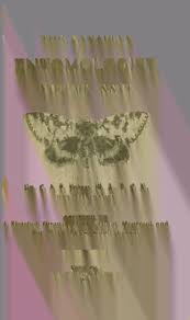 Attēlu rezultāti vaicājumam “Chionaspis salicis imago”