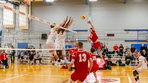 Image result for York University Gymnastics Club