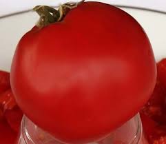 Afbeeldingsresultaat voor earliana tomato