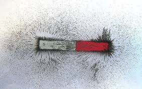 Image result for Pole Magnets