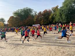 Image result for Runnymede Runners