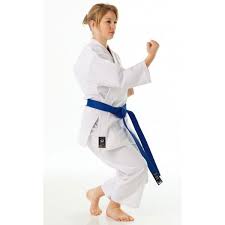 Image result for Tsunami Karate Club