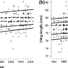 Attēlu rezultāti vaicājumam “Sylvia borin adult”