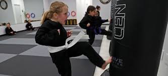 Image result for TRINITY KARATE ACADEMY